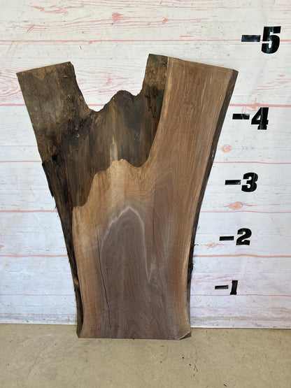 Live Edge Walnut Sku#28407N-23