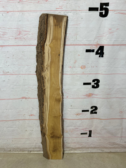 Live Edge Mulberry Sku#28364M-5