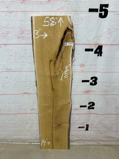 Live Edge Mulberry Sku#28366M-8