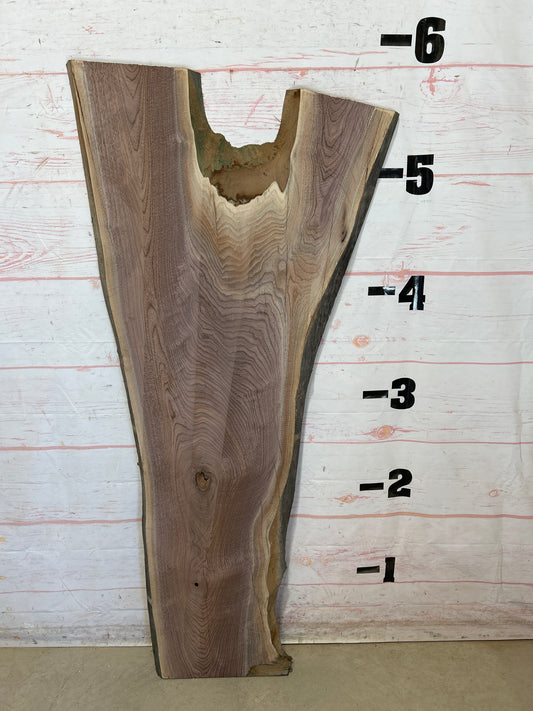 Live Edge Walnut Sku#27659A-20