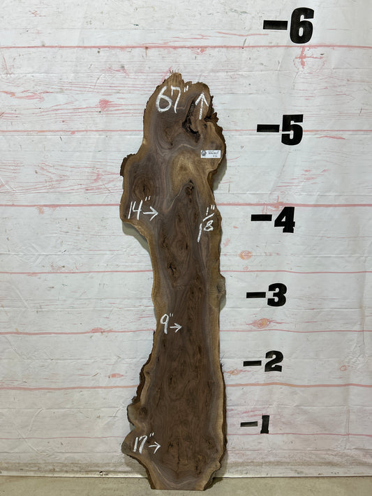 Live Edge Walnut Sku#28229M-6