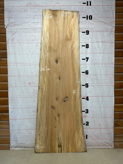Live Edge Sycamore Sku#27455-69