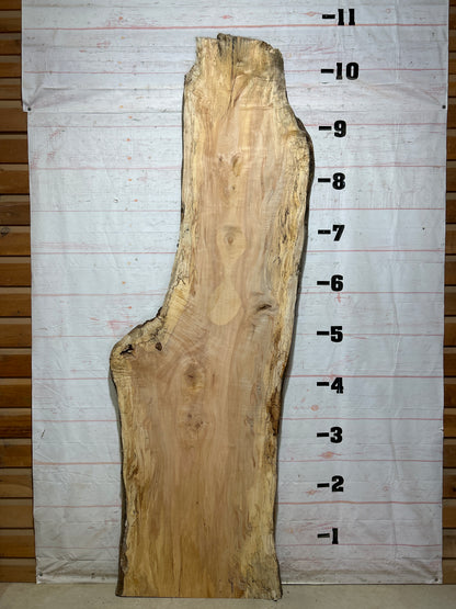 Live Edge Maple Sku#28101-64