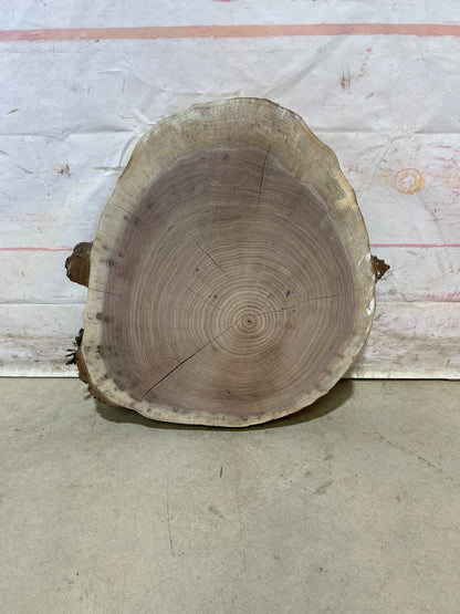 Live Edge Walnut Cookie Sku#28175M