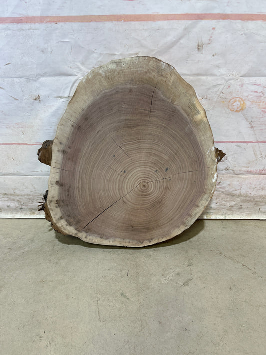 Live Edge Walnut Cookie Sku#28175M