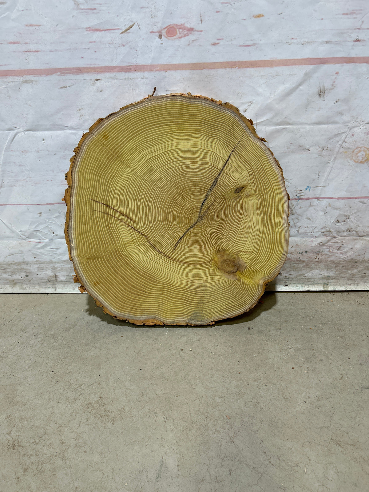 Live Edge Osage Orange Sku#28828M