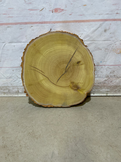 Live Edge Osage Orange Sku#28828M