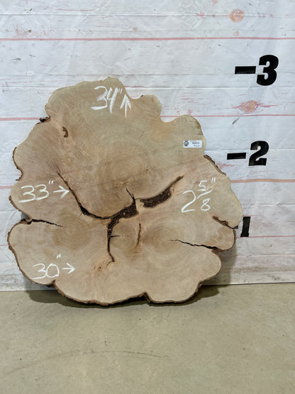 Live Edge Maple Cookie Sku#28705M