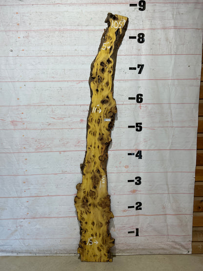 Live Edge Osage Orange Sku#28294-11