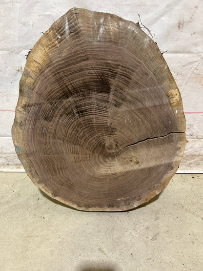 Live Edge Walnut Cookie Sku#28164M