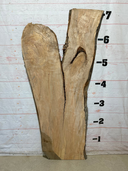 Live Edge Maple Sku#28429B-29