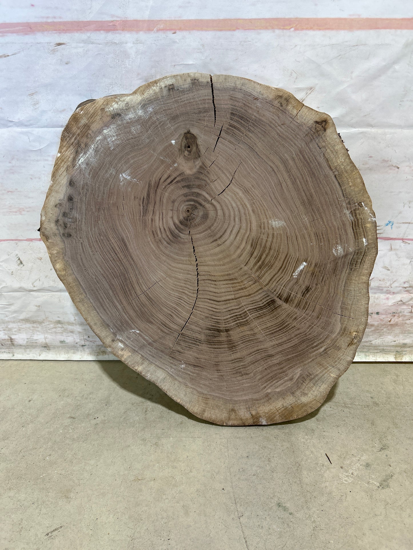 Live Edge Walnut Cookie Sku#28180M