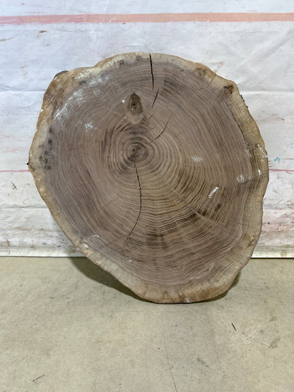 Live Edge Walnut Cookie Sku#28180M