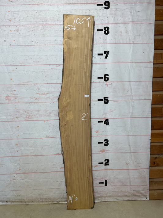 Live Edge Elm Sku#27504D-21