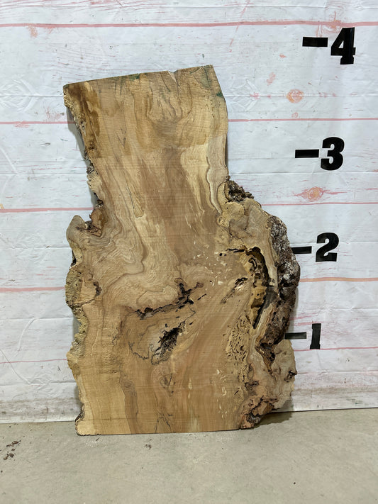 Live Edge Maple Sku#27415E-13