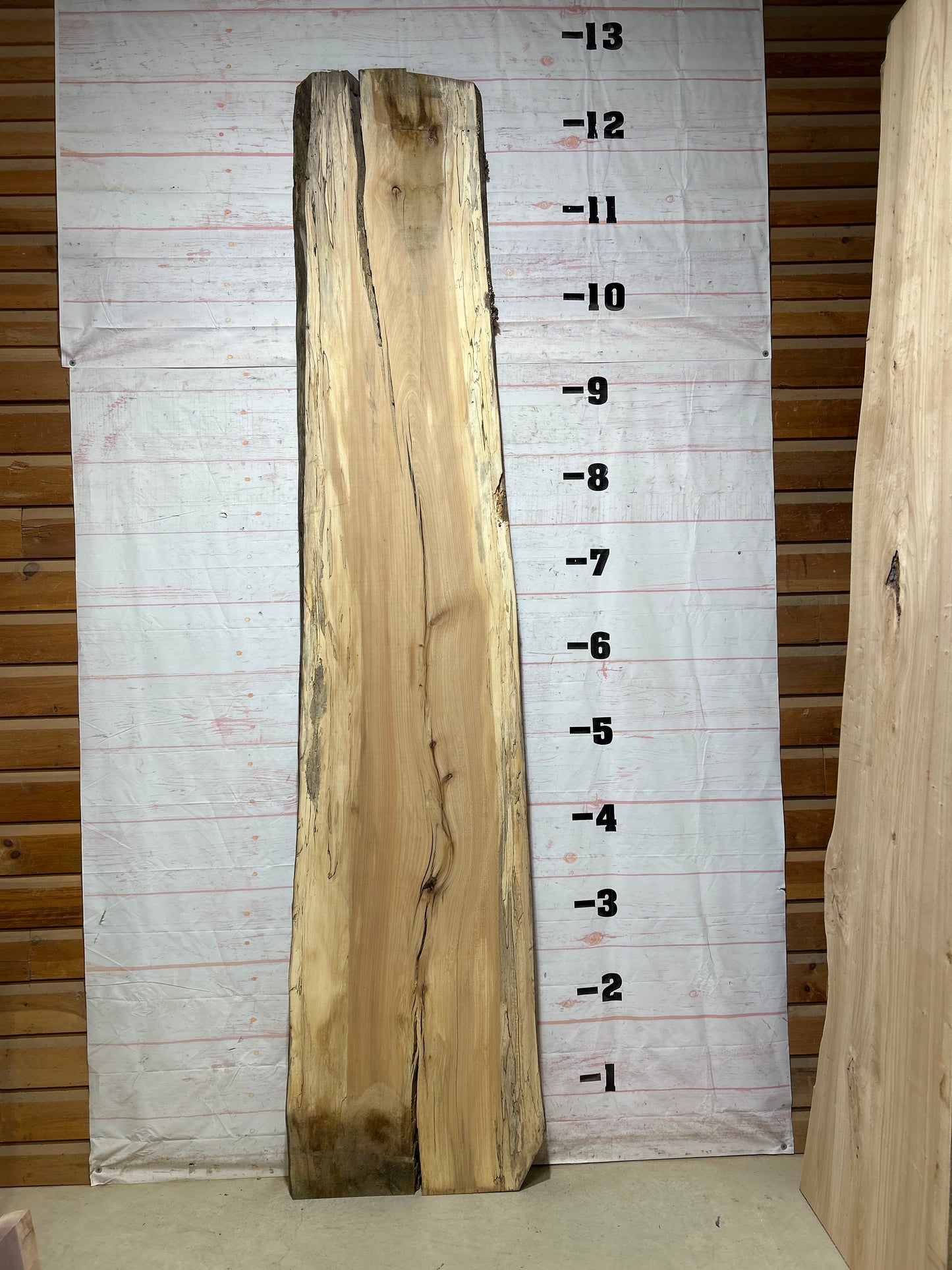 Live Edge Spalted Sycamore Sku#27492-81