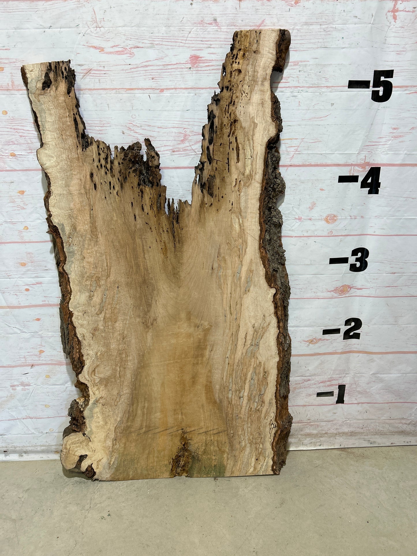 Live Edge Ambrosia Maple Sku#27259-20