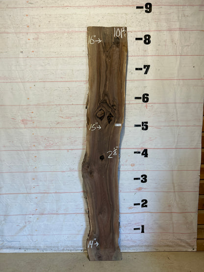 Live Edge Walnut Sku#28927J-21