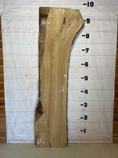 Live Edge Catalpa Sku#27630-52