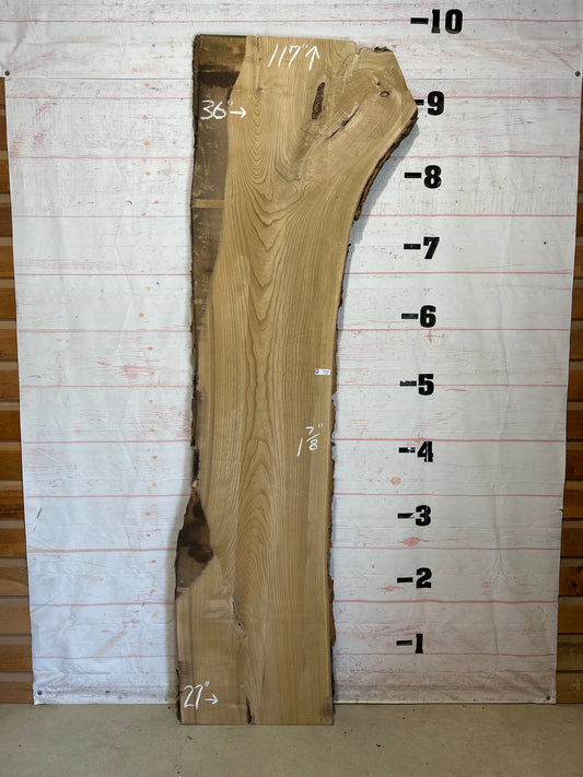 Live Edge Catalpa Sku#27630-52