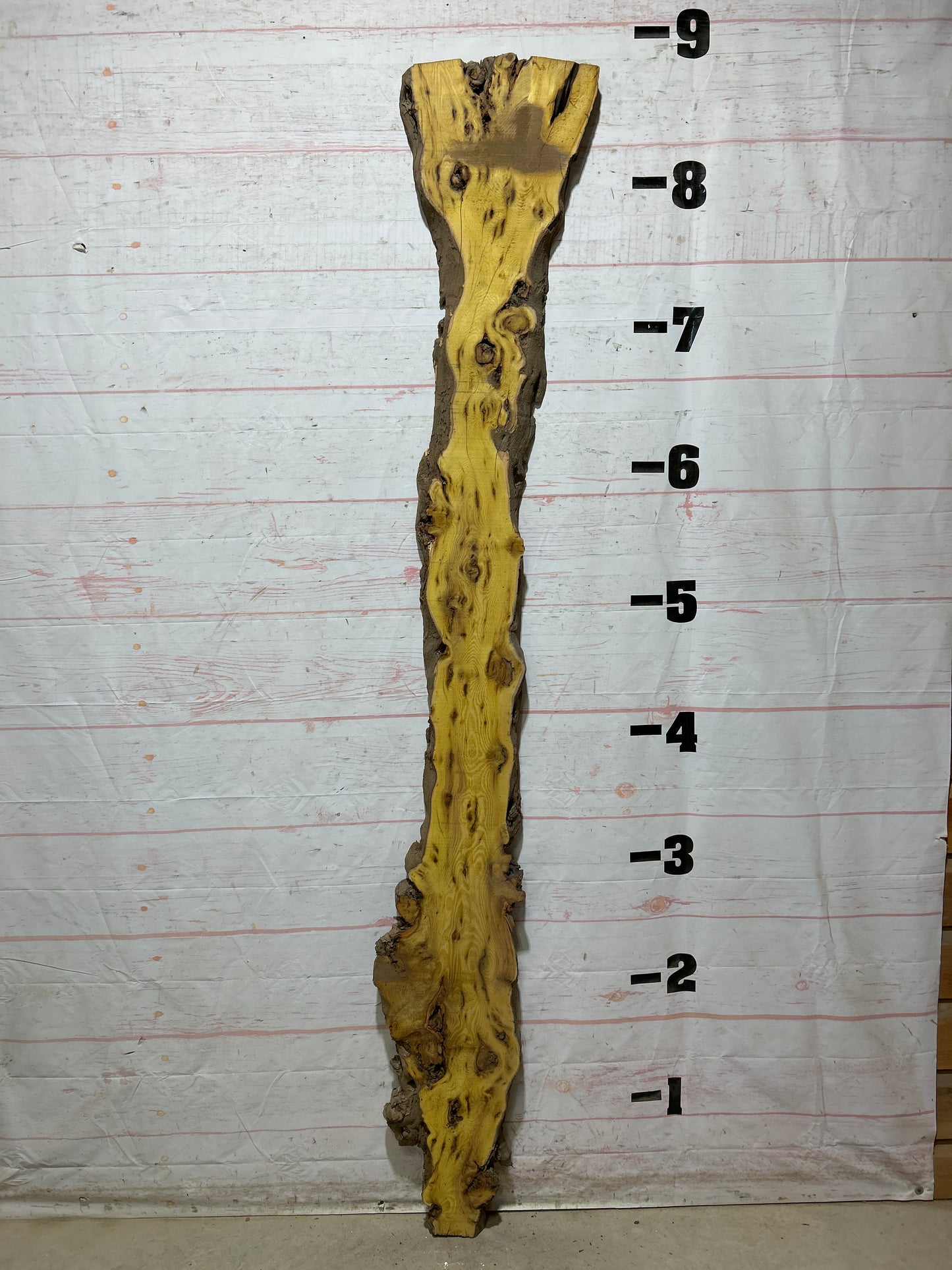 Live Edge Osage Orange Sku#28298-14