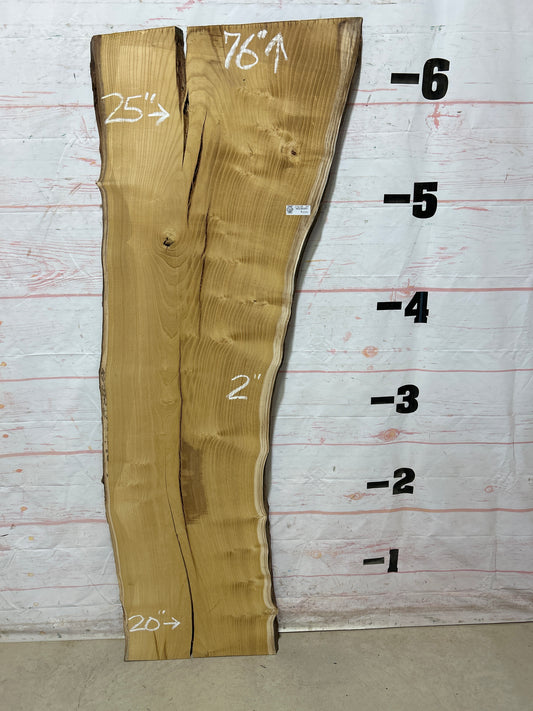 Live Edge Mulberry Sku#27618H-24