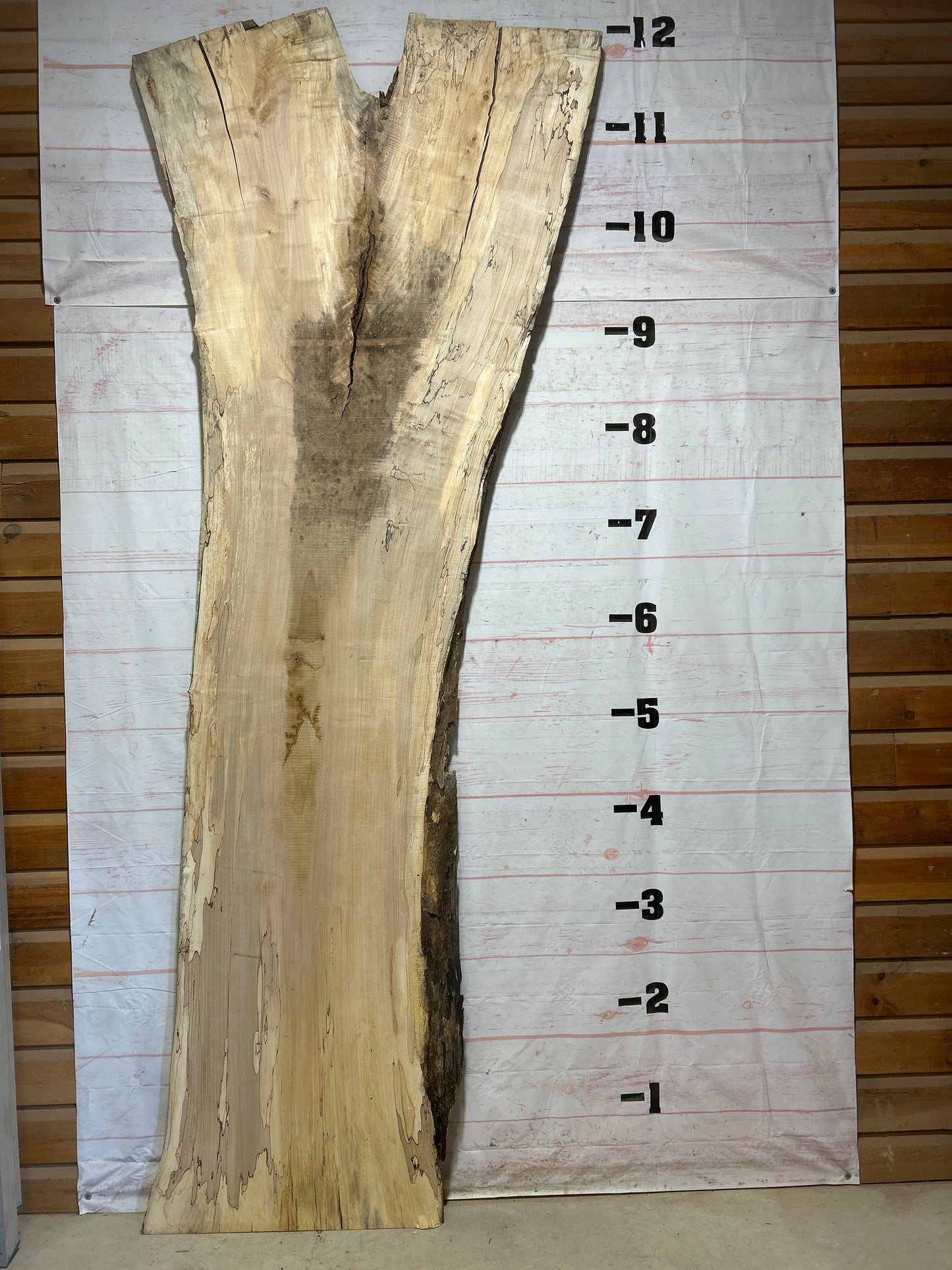 Live Edge Spalted Maple Sku#27300-90