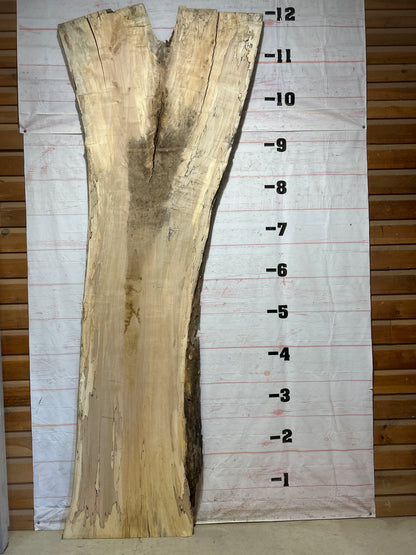 Live Edge Spalted Maple Sku#27300-90