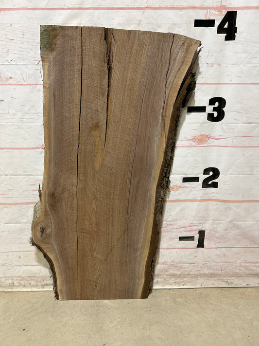 Live Edge Walnut Sku#27402M-12