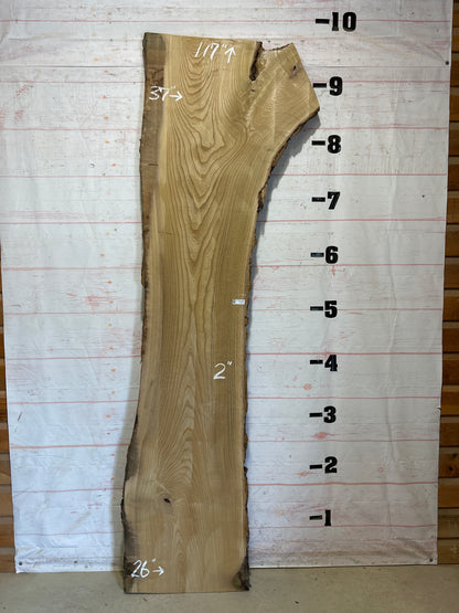 Live Edge Catalpa Sku#27631-52