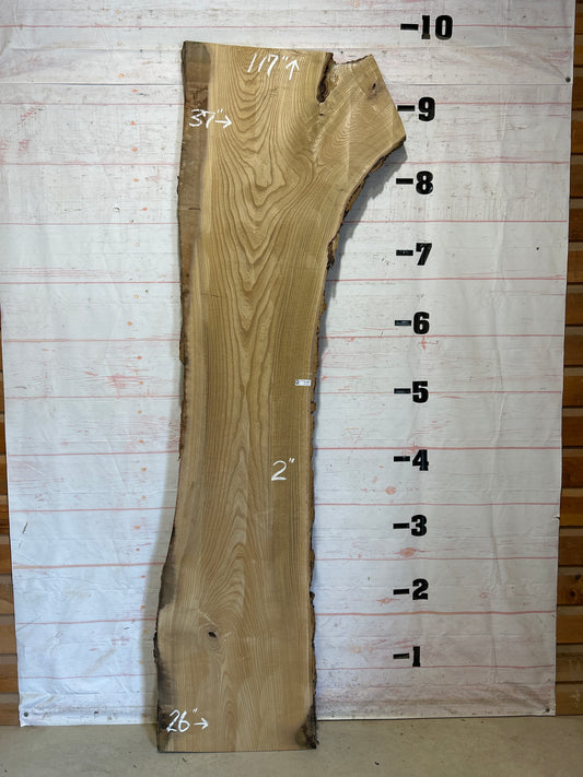 Live Edge Catalpa Sku#27631-52