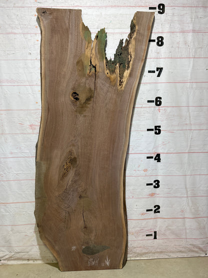 Live Edge Walnut Sku#27120-62