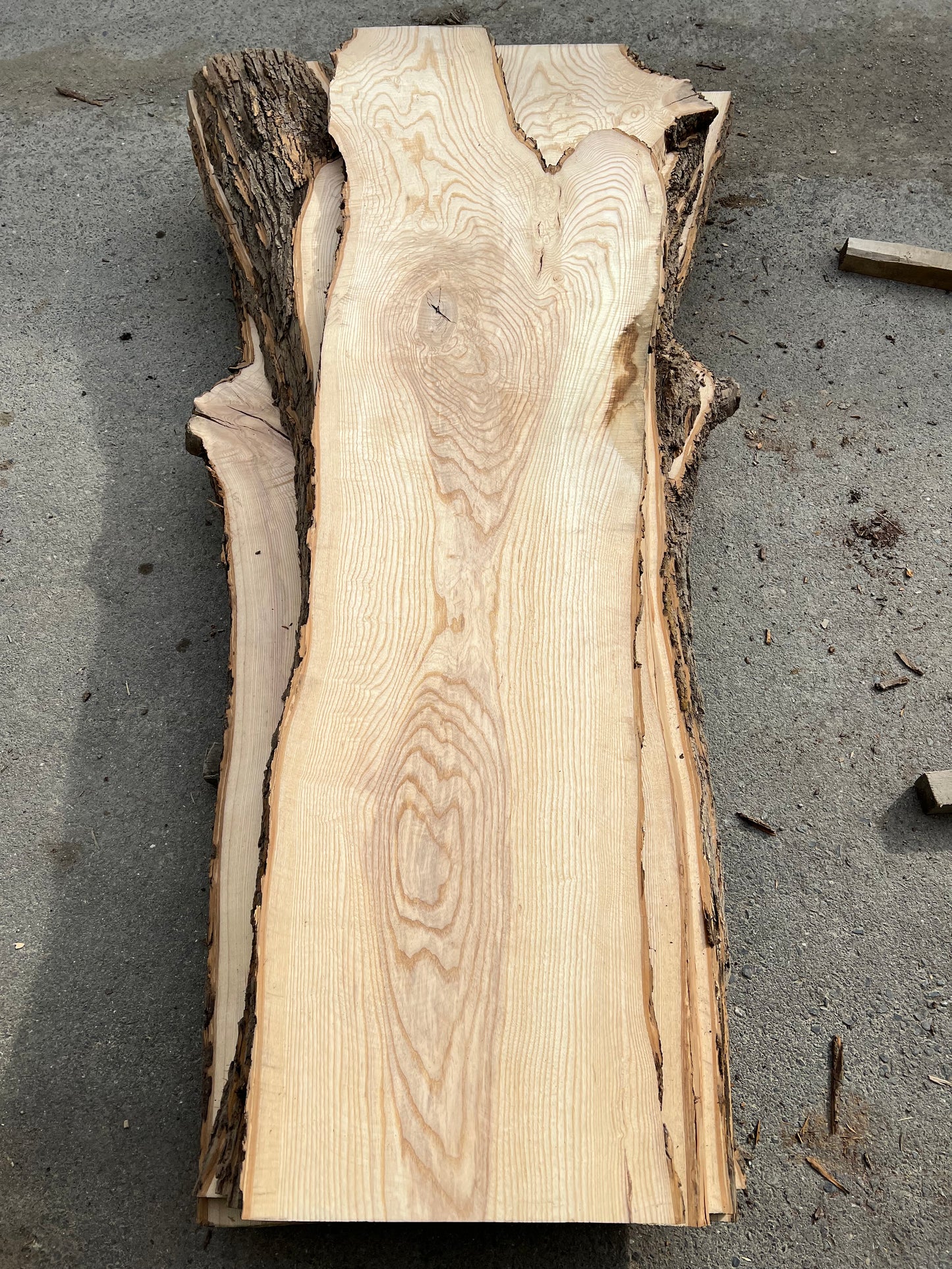 Live Edge Ash Sku# 24250S-39