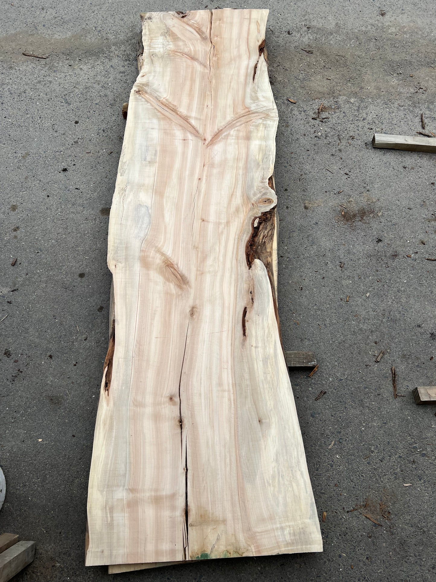 Live Edge Maple Sku# 24269S-82