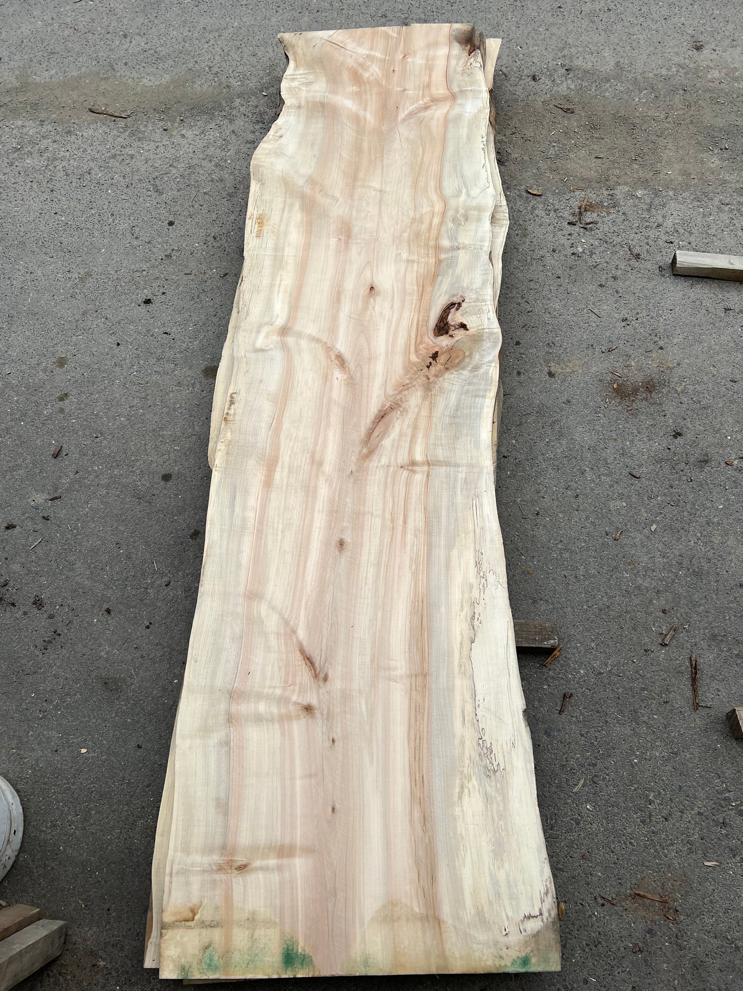 Live Edge Maple Sku# 24270S-82