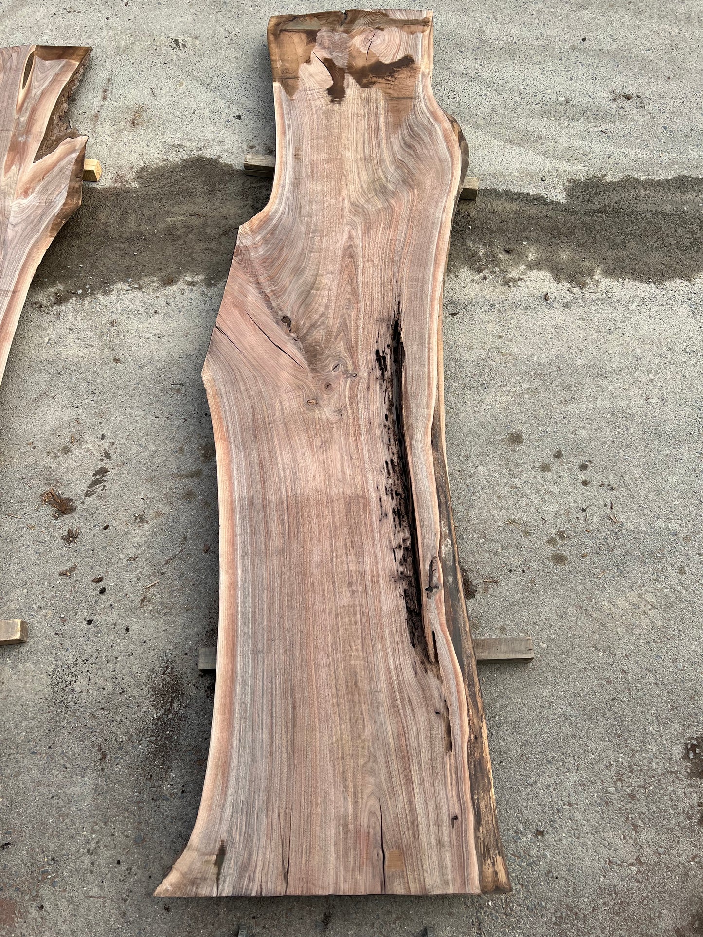 Live Edge Walnut Sku# 24310S-74