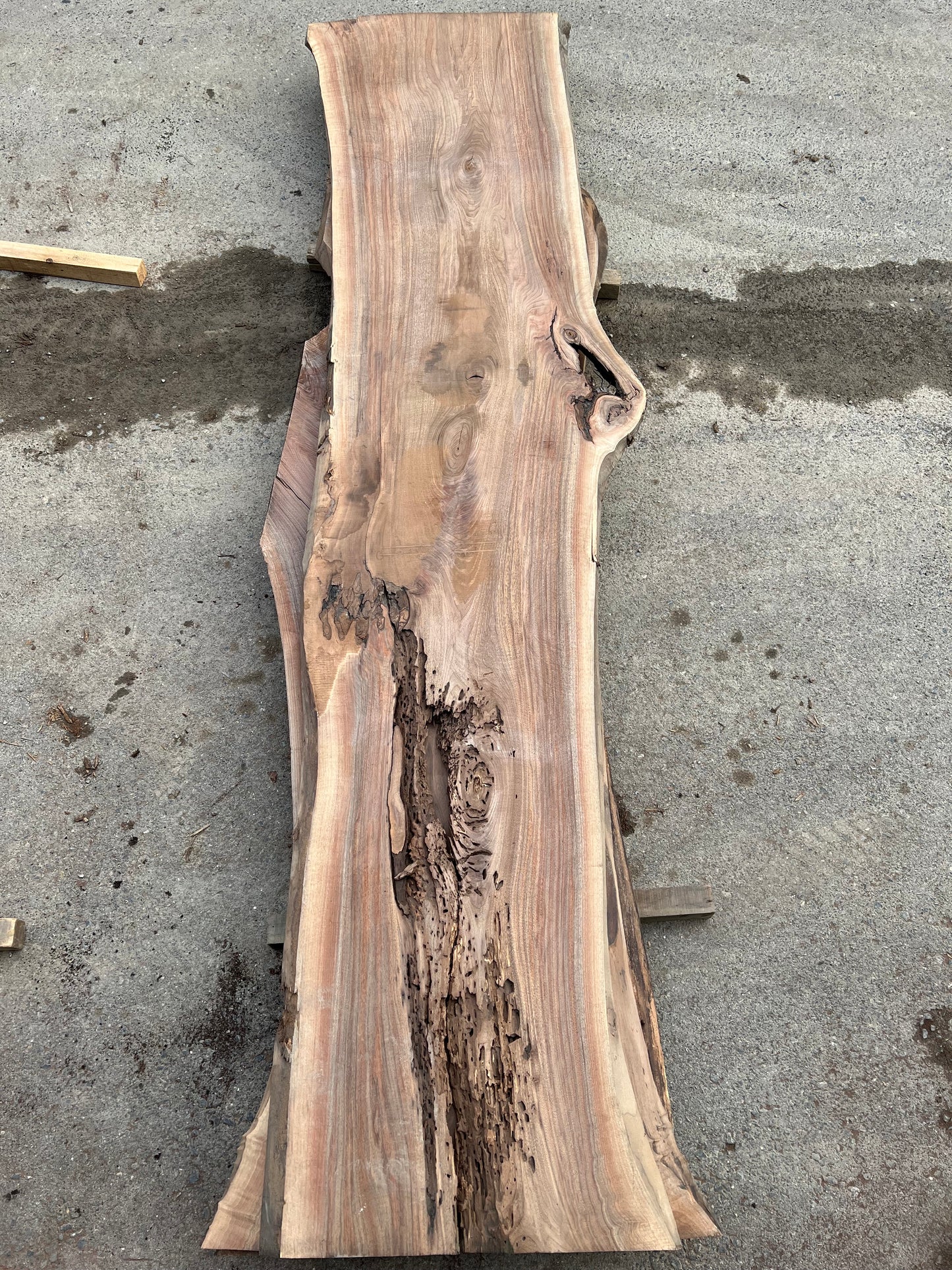 Live Edge Walnut Sku# 24312S-72