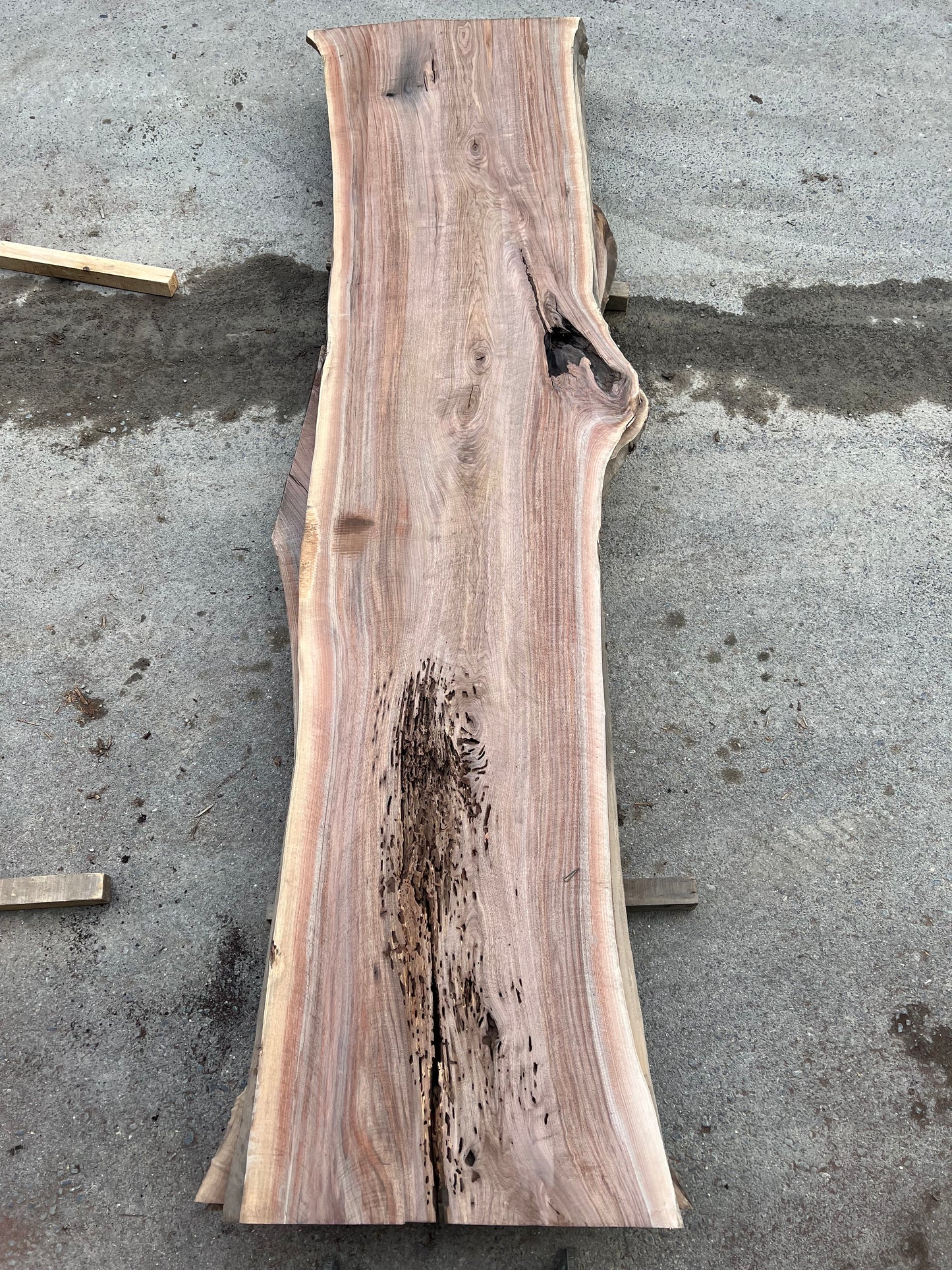 Live Edge Walnut Sku# 24313S-76