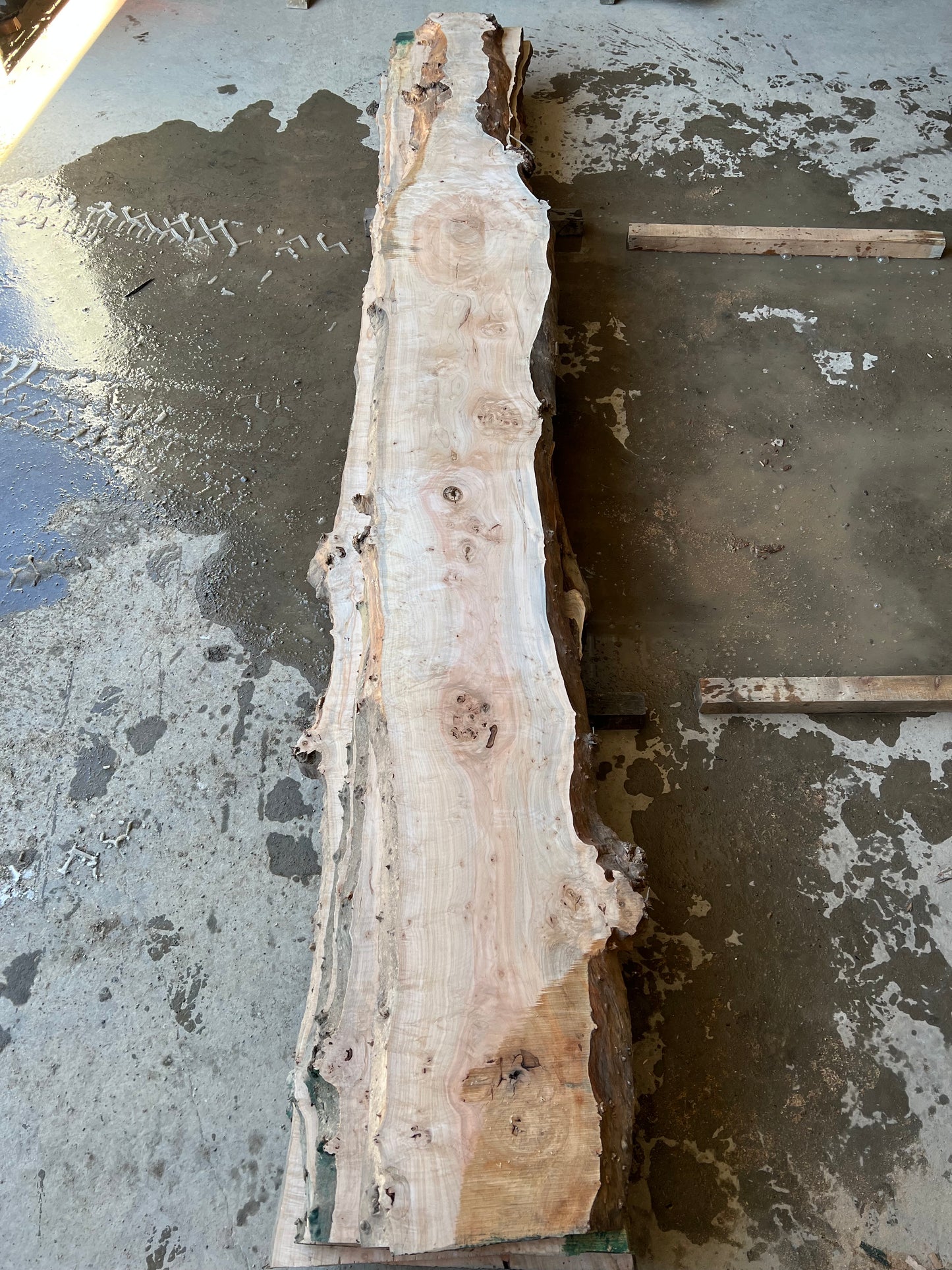 Live Edge Maple Sku# 24730S-47