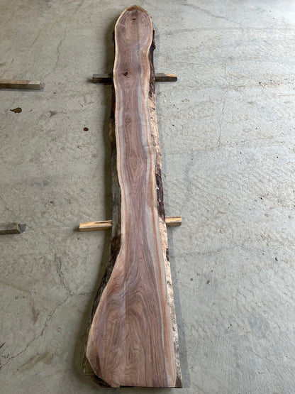 Live Edge Walnut Sku# 26009S-49