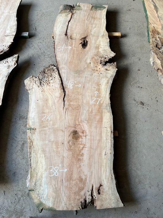 Live Edge Maple Sku# 26047S-71