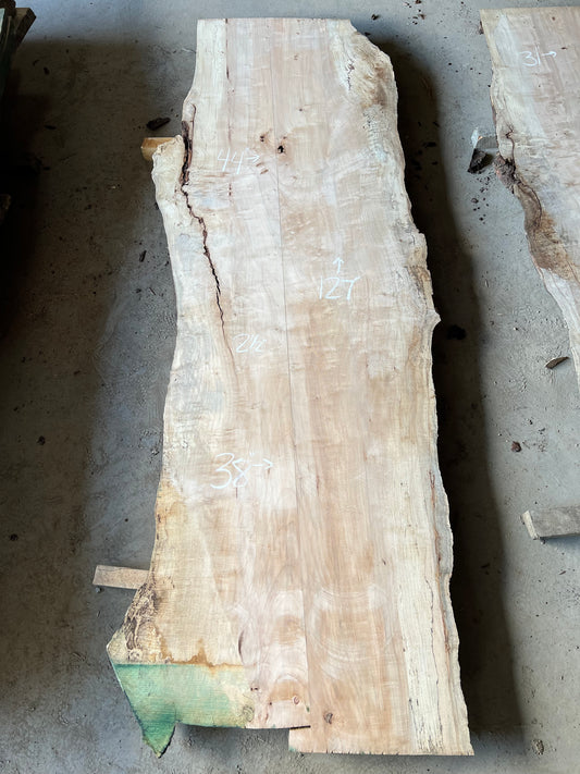 Live Edge Maple Sku# 26053S-81