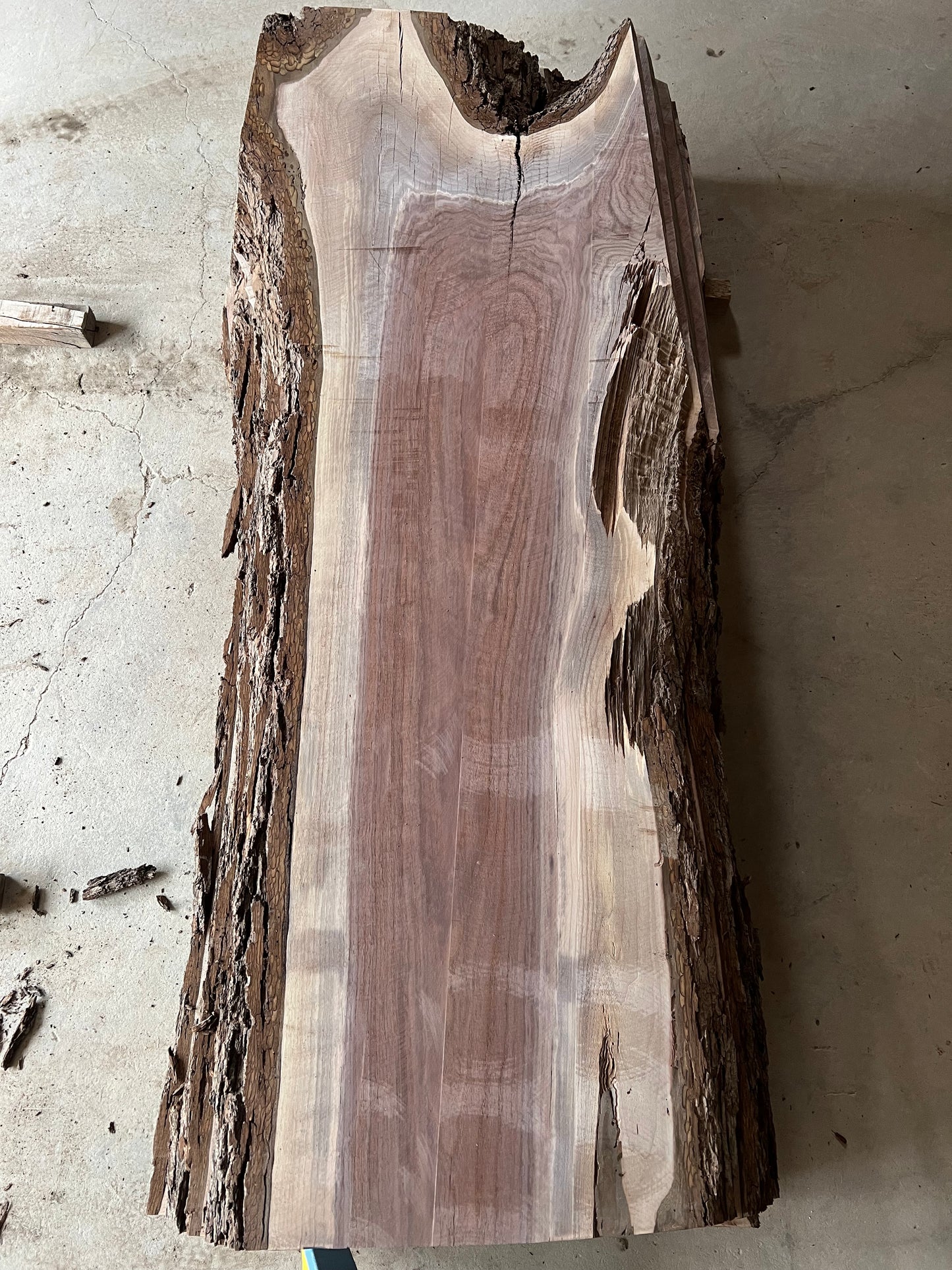 Live Edge Walnut Sku# 26132S-59
