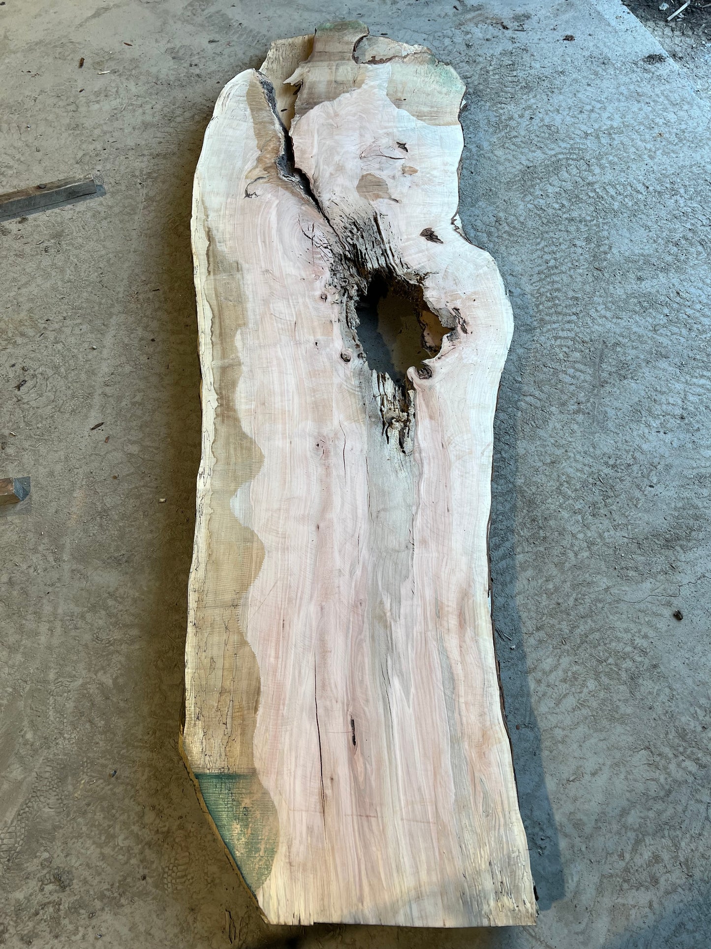 Live Edge Maple Sku# 26466S-119