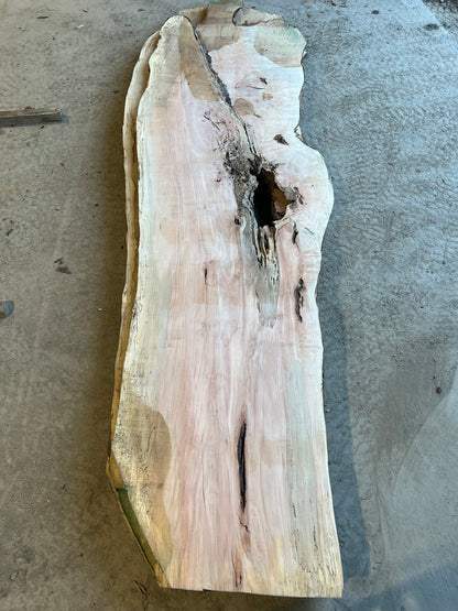 Live Edge Maple Sku# 26467S-95
