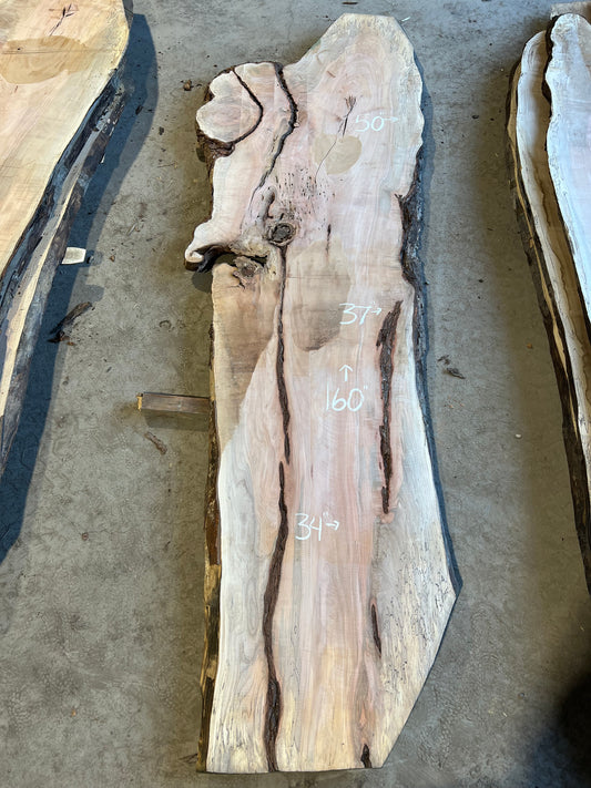 Live Edge Maple Sku# 26468S-97