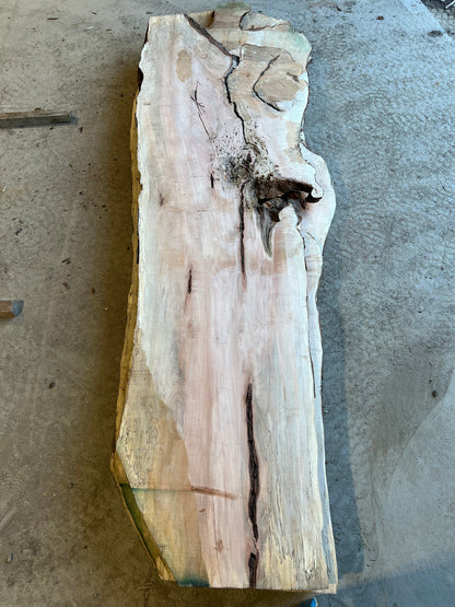 Live Edge Maple Sku# 26468S-97