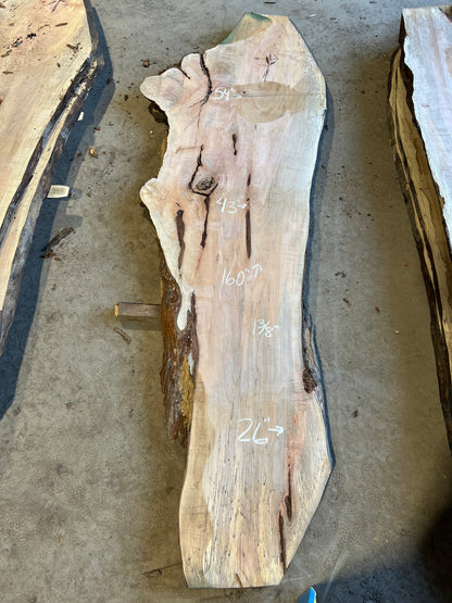 Live Edge Maple Sku# 26469S-92