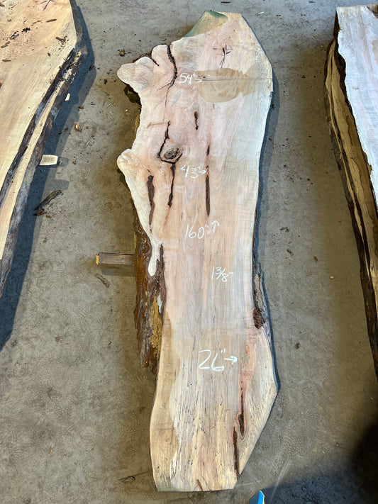 Live Edge Maple Sku# 26469S-92