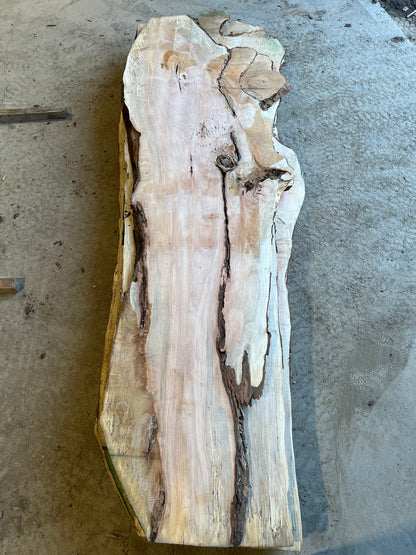 Live Edge Maple Sku# 26469S-92